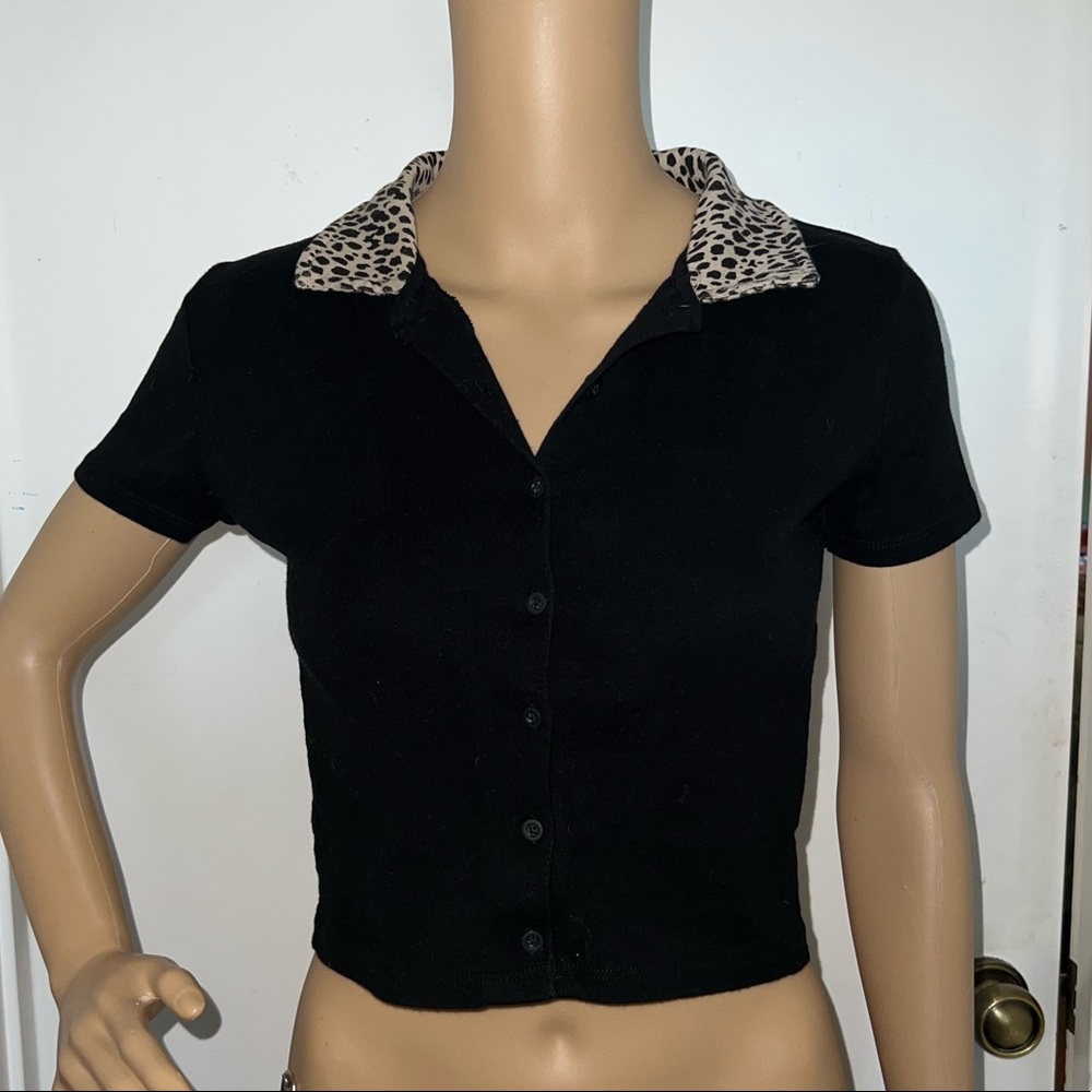 Brandy Melville Collared Crop Top